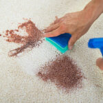 CARPET CLEANER
