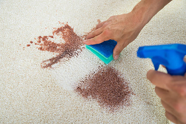 Cropped image of man cleaning stain on carpet with sponge CARPET CLEANER - Image 1